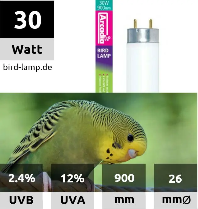 Arcadia Bird Lamp – T8 UV-Leuchtstoffröhre 30W