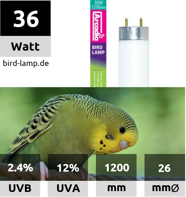 Ardacia Bird Lamp – T8 UV-Leuchtstoffröhre 36W