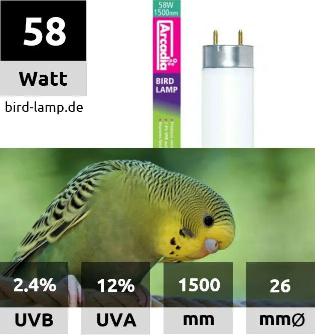 Arcadia Bird Lamp – T8 UV-Leuchtstoffröhre 58W