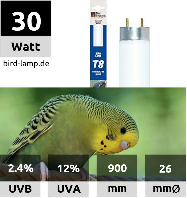 UV-Leuchtstoffröhren ▻ UV-Leuchtstofflampen für Vögel kaufen